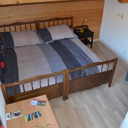 Logement Chez L'Habitant Etage Independant Grône Екстериор снимка
